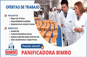 ¡Convocatoria abierta! Grupo Bimbo busca nuevo personal ¡no te lo pierdas!