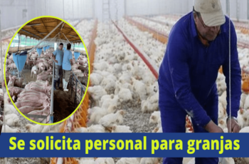 Solicitamos personal AGRICULTOR para trabajos en campo.