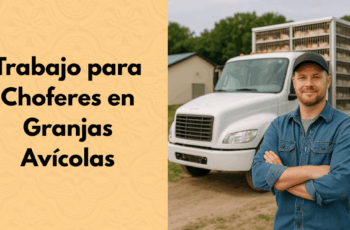 Trabajando para conductores en granjas avícolas
