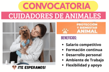Se buscan Cuidadores de Animales – ¡Tu vocación comienza aquí!
