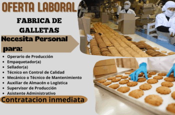 Tu próximo empleo está aquí: únete a la fábrica de galletas que conquista corazones