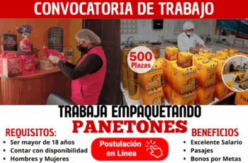 Forma parte del sabor navideño: trabaja con nosotros en el área de empaquetado de panetones