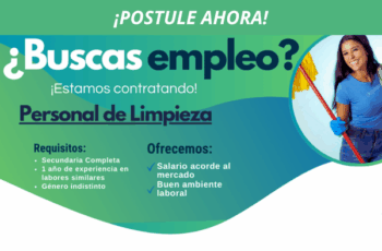 Empleos para limpiadores a nivel doméstico.
