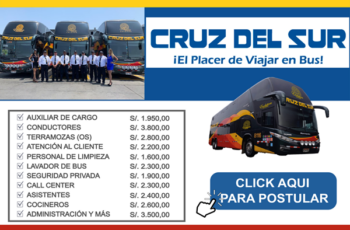 Cruz del Sur – Captación de perfiles profesionales